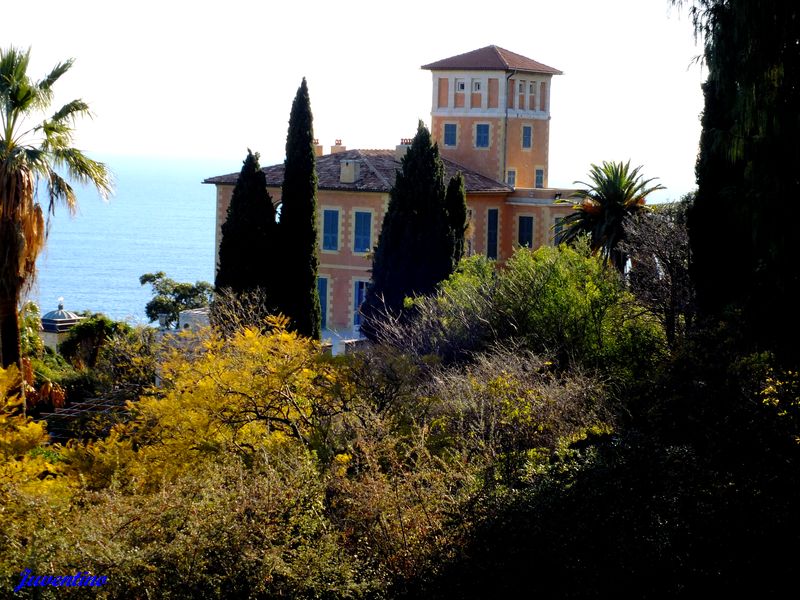 La Mortola (Ventimiglia) (Imperia, Liguria)