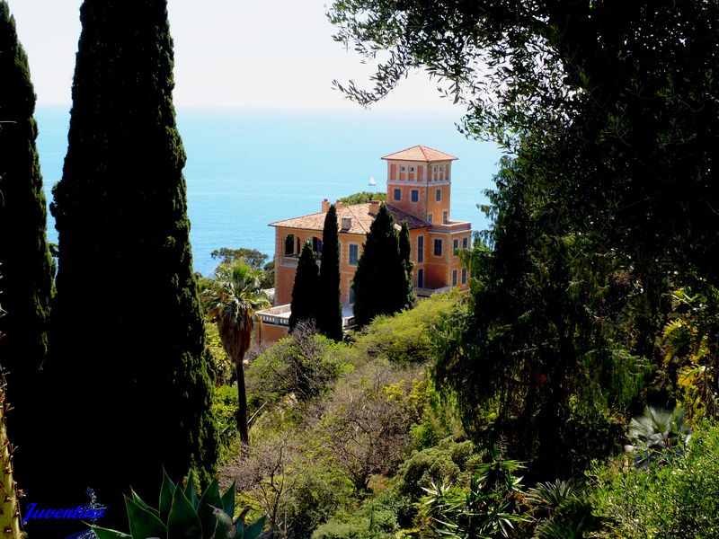 La Mortola (Ventimiglia) (Imperia, Liguria)