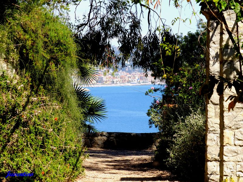 La Mortola (Ventimiglia) (Imperia, Liguria)