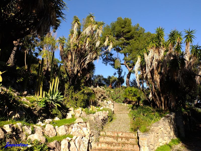 La Mortola (Ventimiglia) (Imperia, Liguria)