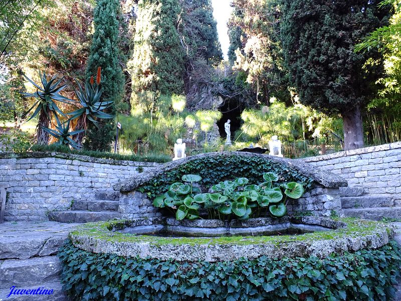 La Mortola (Ventimiglia) (Imperia, Liguria)