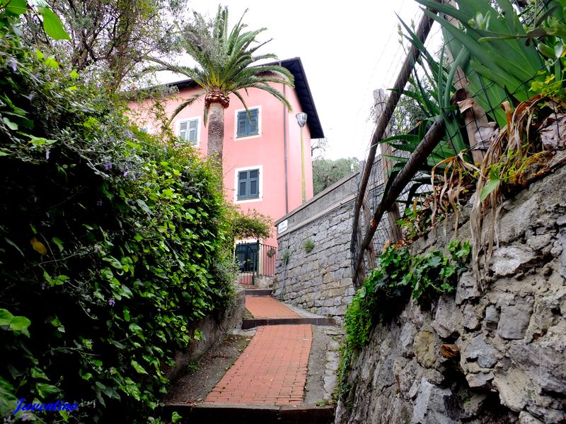 La Mortola (Ventimiglia) (Imperia, Liguria)