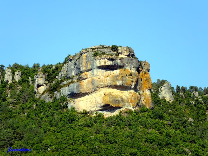 Nant (Aveyron)