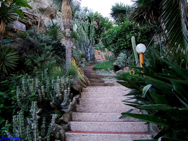 Giardino esotico Pallanca, Bordighera (Imperia, Liguria)