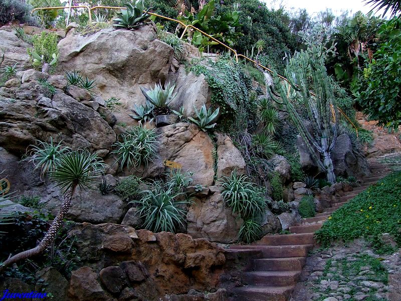 Giardino esotico Pallanca, Bordighera (Imperia, Liguria)