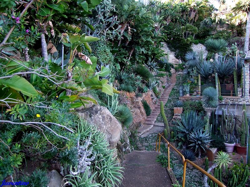 Giardino esotico Pallanca, Bordighera (Imperia, Liguria)