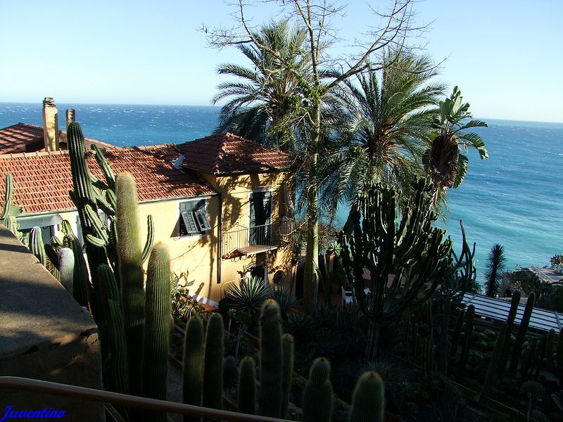 Giardino esotico Pallanca, Bordighera (Imperia, Liguria)