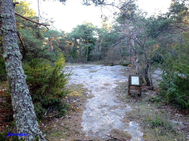 Petit aiguier de Gayéoux (St-Saturnin-lès-Apt)