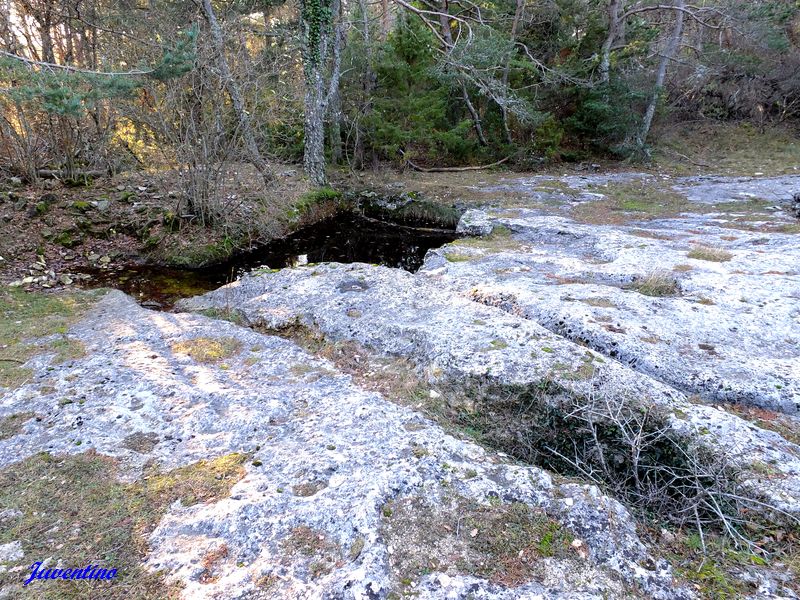 Petit aiguier de Gayéoux (St-Saturnin-lès-Apt)