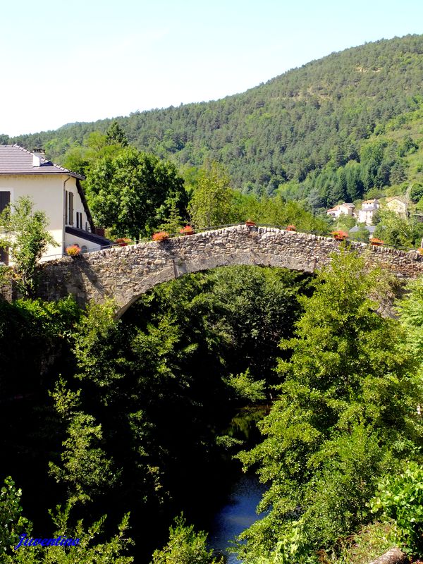 Pont Vieux de St-Jean-du-Bruel sur la Dourbie