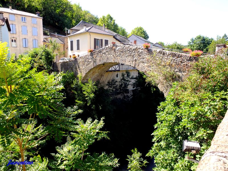 Pont Vieux de St-Jean-du-Bruel sur la Dourbie