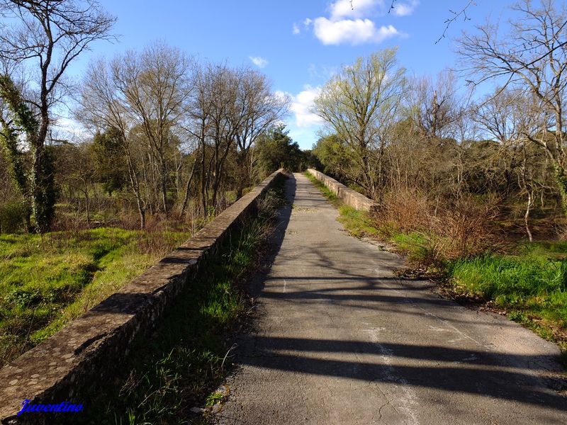 Pont de la Basse-Verrerie (Plaine des Maures)