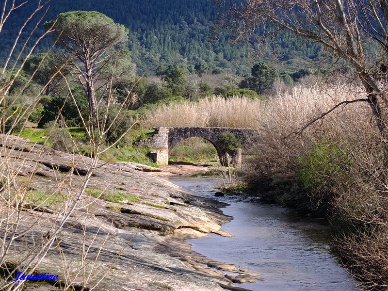 Pont Romain (Plaine des Maures)