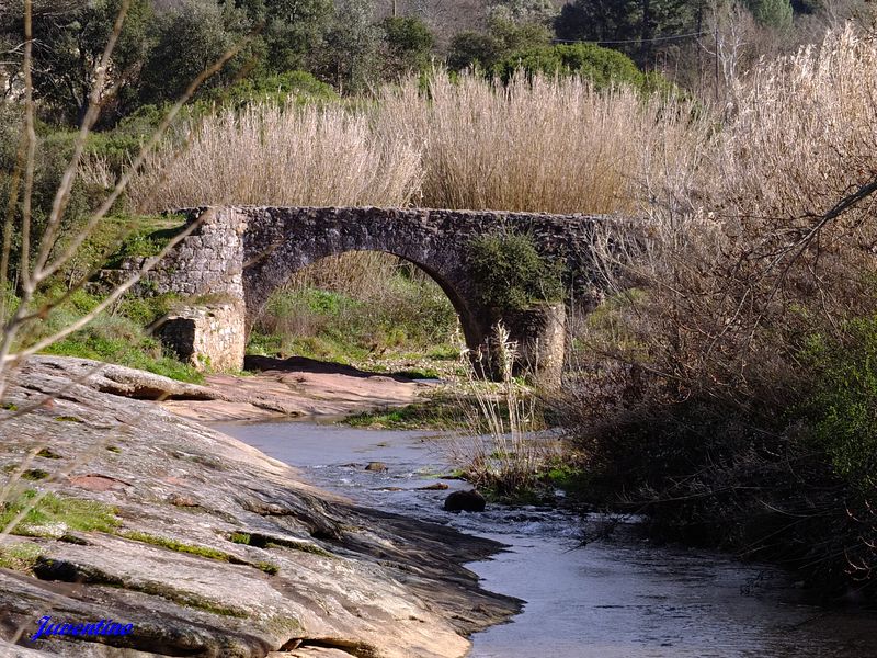 Pont Romain (Plaine des Maures)