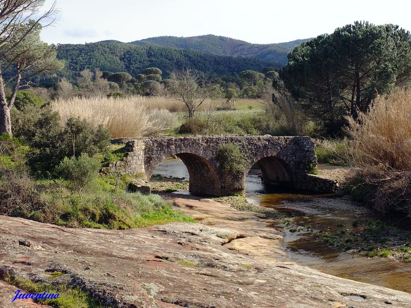 Pont Romain (Plaine des Maures)