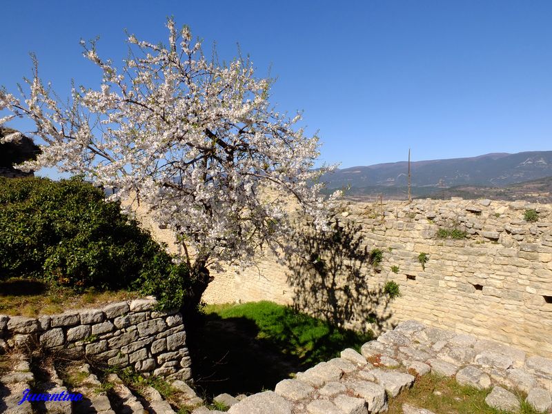 Saignon (Vaucluse)