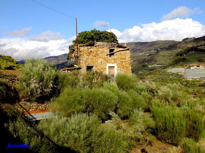 San Biagio della Cima (Imperia, Liguria)