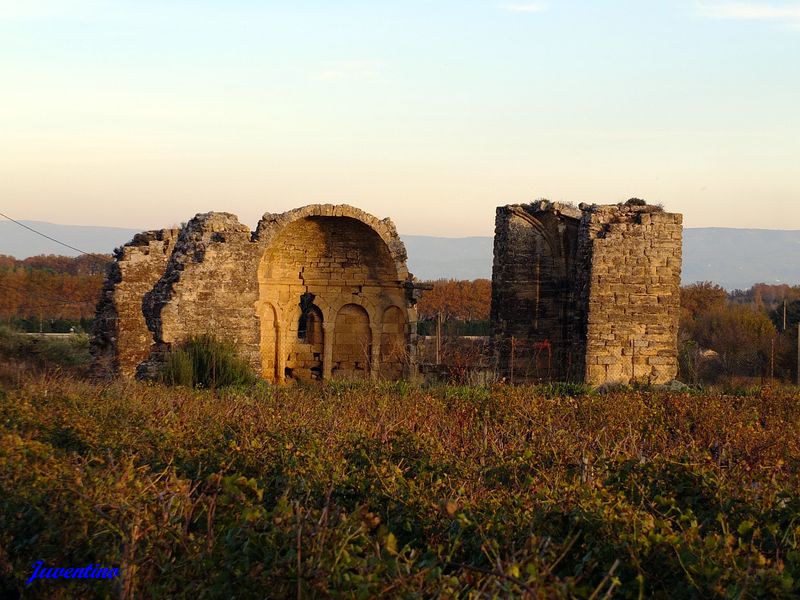 Chapelle St-Georges des Garrigues à Courthézon