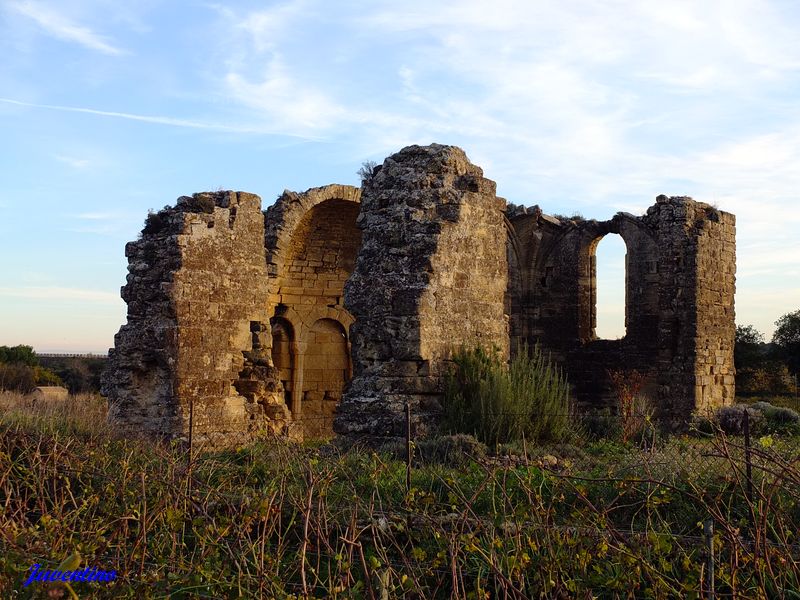 Chapelle St-Georges des Garrigues à Courthézon