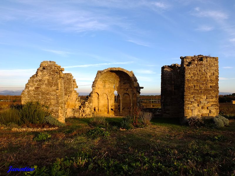 Chapelle St-Georges des Garrigues à Courthézon