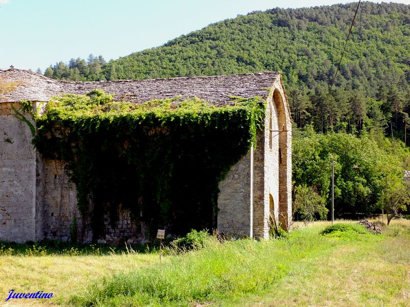Eglise St-Martin du Vican (Nant, Aveyron)