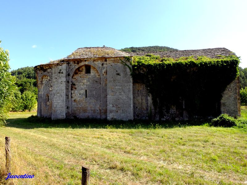 Eglise St-Martin du Vican (Nant, Aveyron)