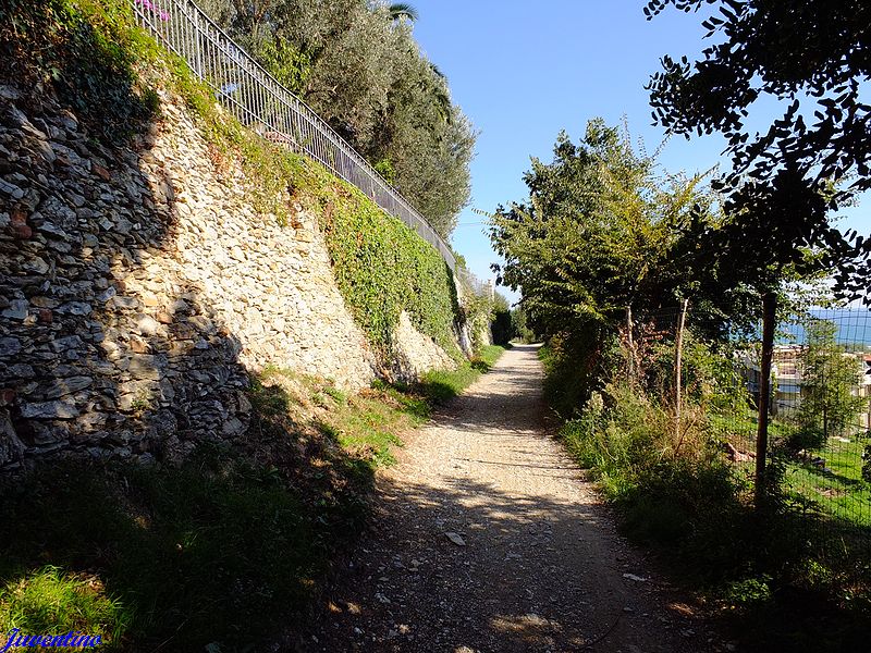 Via Iulia Augusta entre Alassio et Albenga