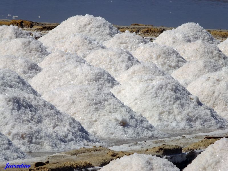 Salines Trapani Paceco Marsala