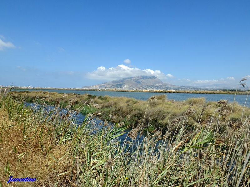 Salines Trapani Paceco Marsala