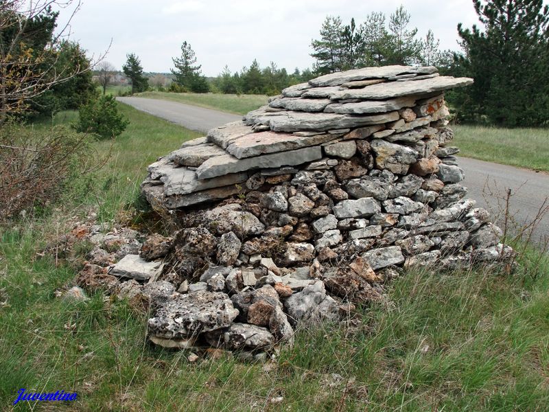 une cazelle du Causse Méjan