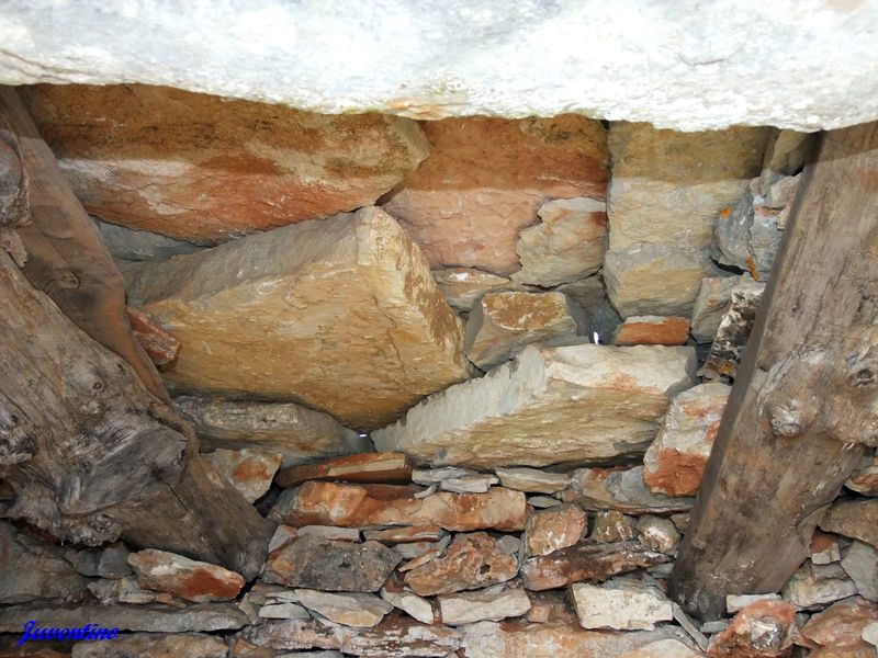 une cazelle du Causse Méjan