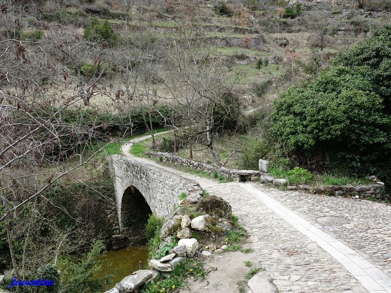 Castelbouc (Sainte-Enimie) (Lozère)