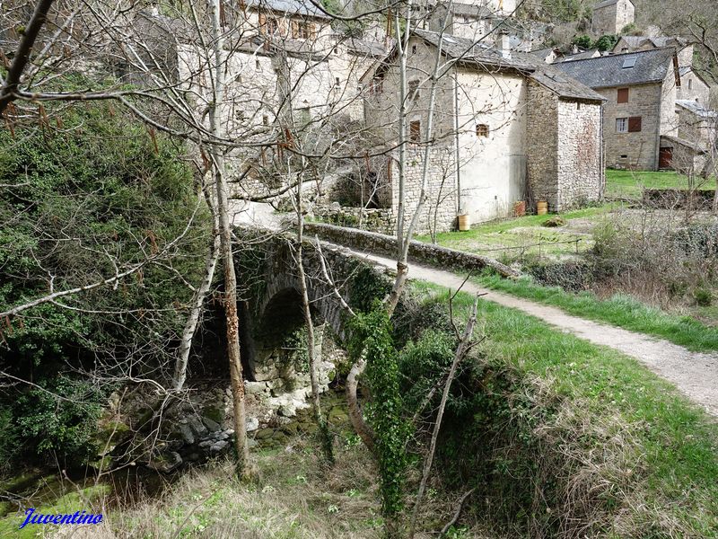 Castelbouc (Sainte-Enimie) (Lozère)