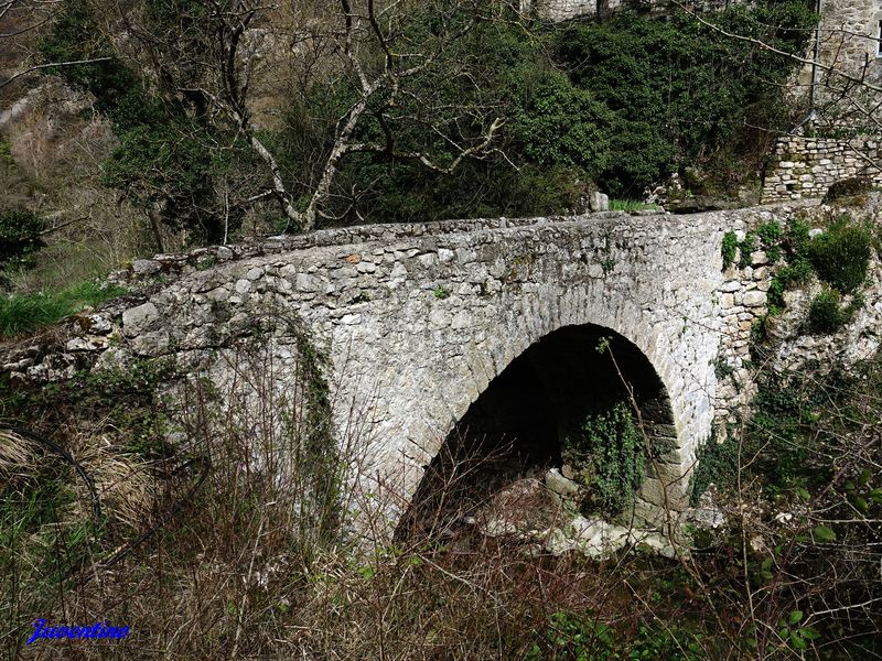 Castelbouc (Sainte-Enimie) (Lozère)