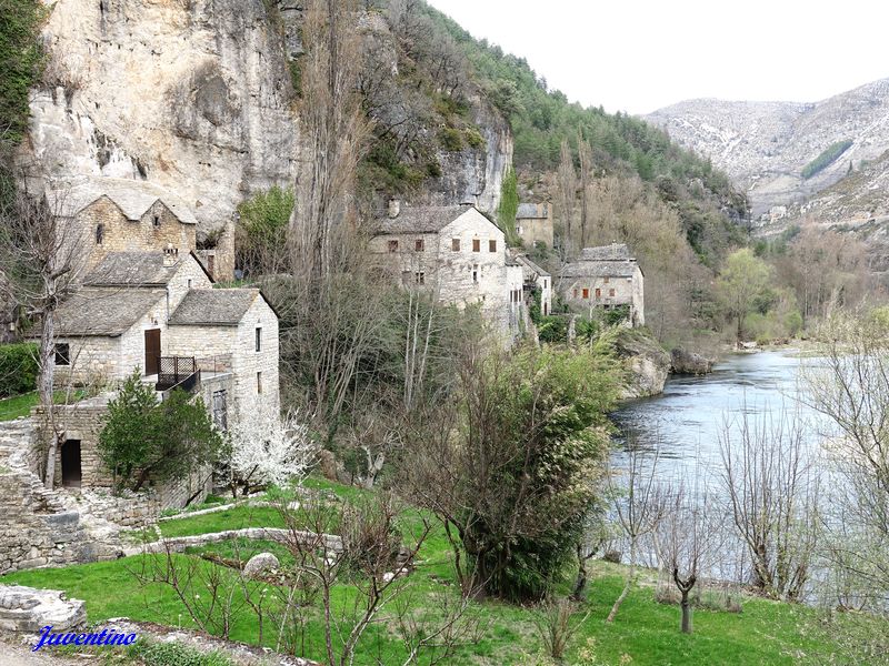 Castelbouc (Sainte-Enimie) (Lozère)