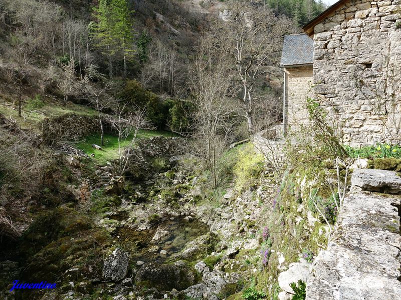Castelbouc (Sainte-Enimie) (Lozère)
