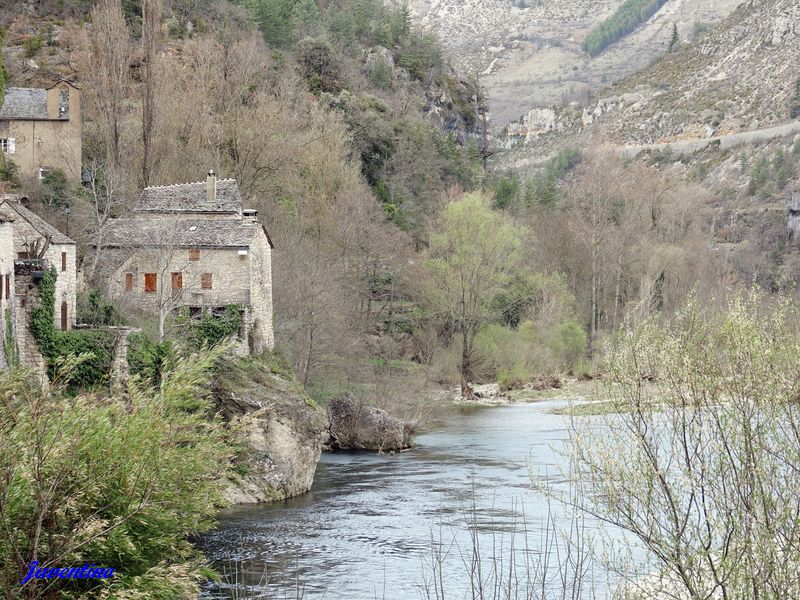 Castelbouc (Sainte-Enimie) (Lozère)