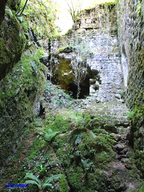 Peyrusse-le-Roc