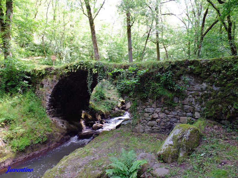 Pont de l'Hôpital à Peyrusse-le-Roc