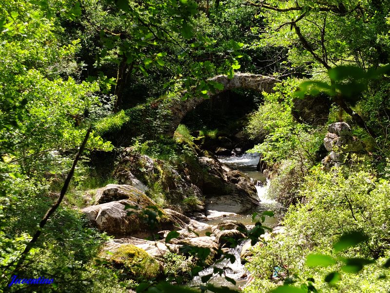 Pont du Parayre à Peyrusse-le-Roc