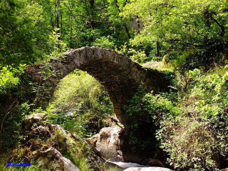 Pont du Parayre à Peyrusse-le-Roc