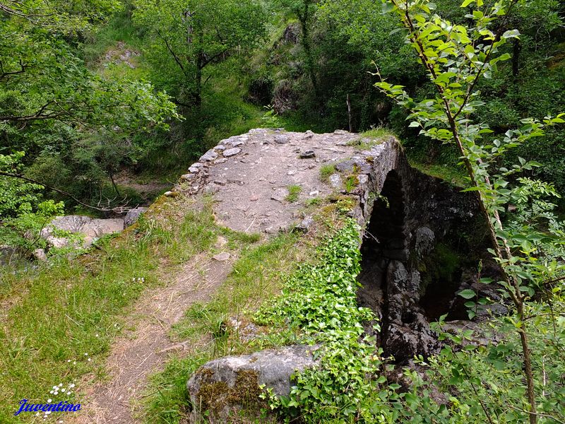 Pont du Parayre à Peyrusse-le-Roc