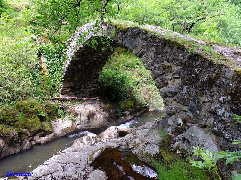 Pont du Parayre à Peyrusse-le-Roc